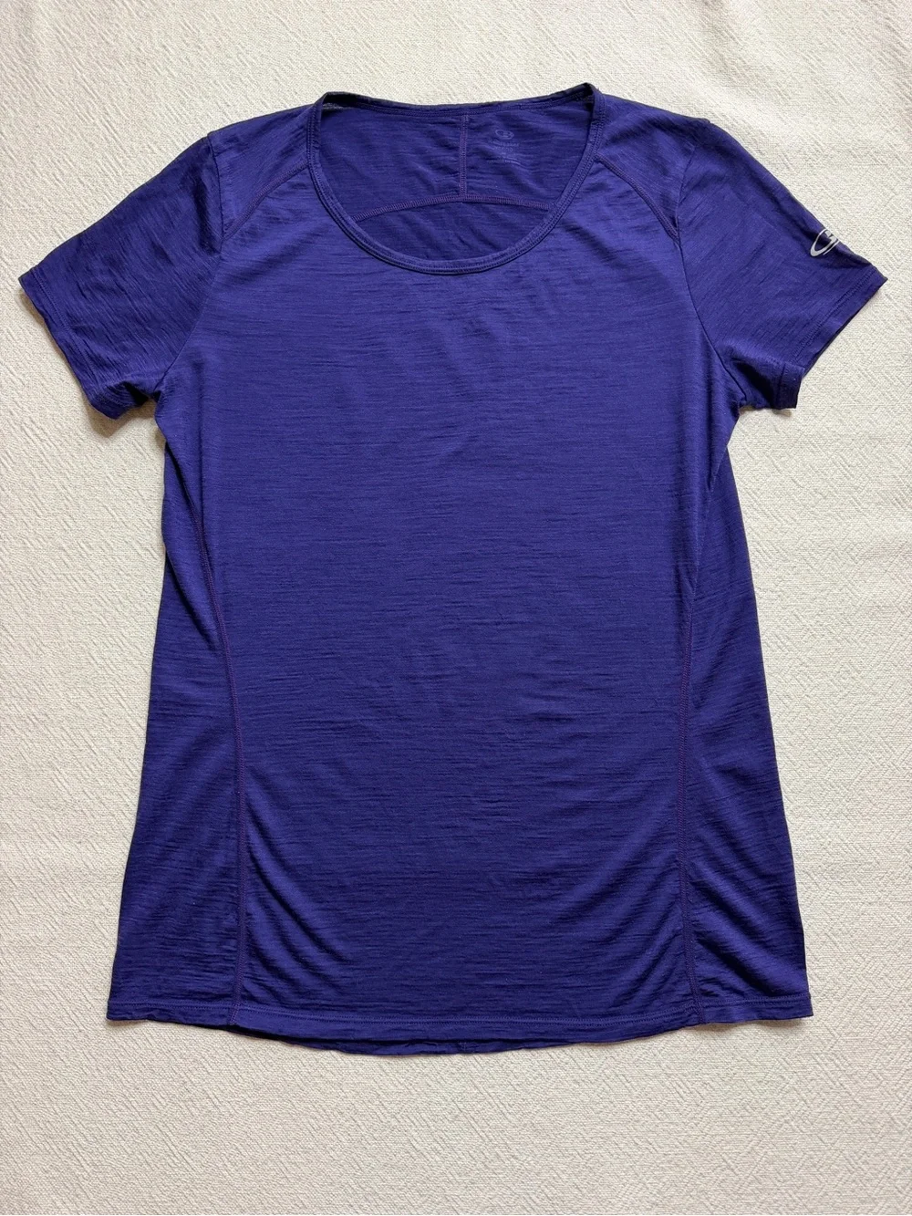 Icebreaker Merino Wool Deep Purple Short Sleeve Top M Baselayer Gorpcore Outdoor